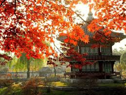 Image result for best season to visit korea